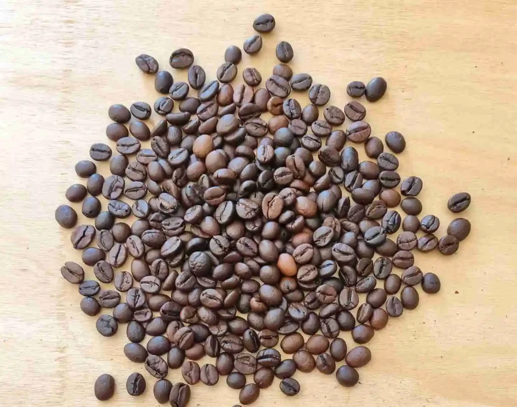 differenze tra arabica e robusta